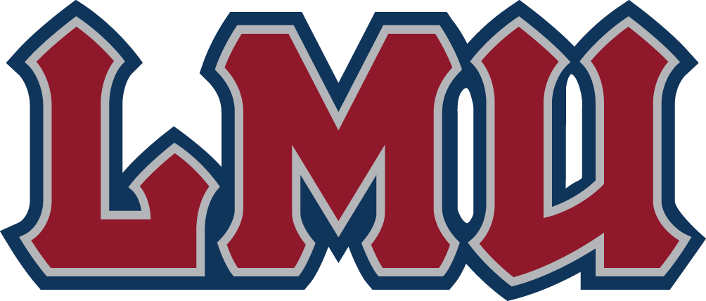 Loyola Marymount Lions 2008-2018 Wordmark Logo iron on transfers for clothing